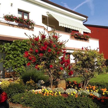 Apartments Mari Novigrad  Exterior photo